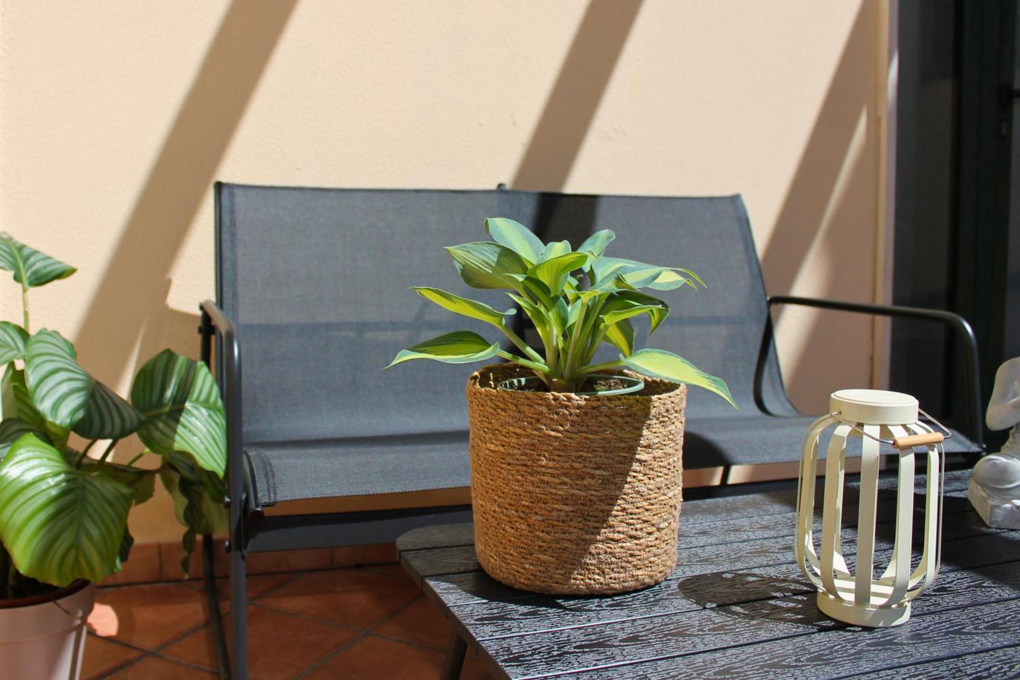 Dimidium Apartment Guspini Exterior photo